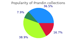 prandin 0.5 mg cheap amex